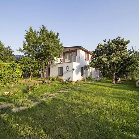 Mengen Konaklari Апарт-отель *